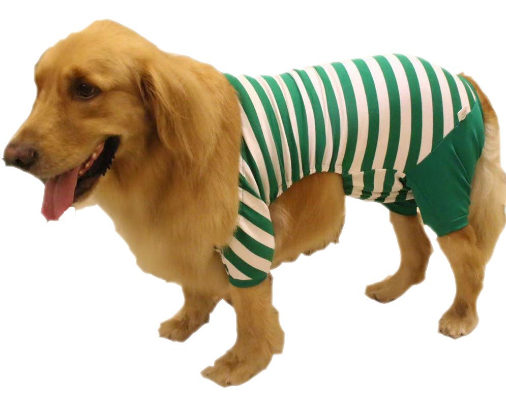 Festive Furry Friends The Rise of Dog Christmas Pajamas